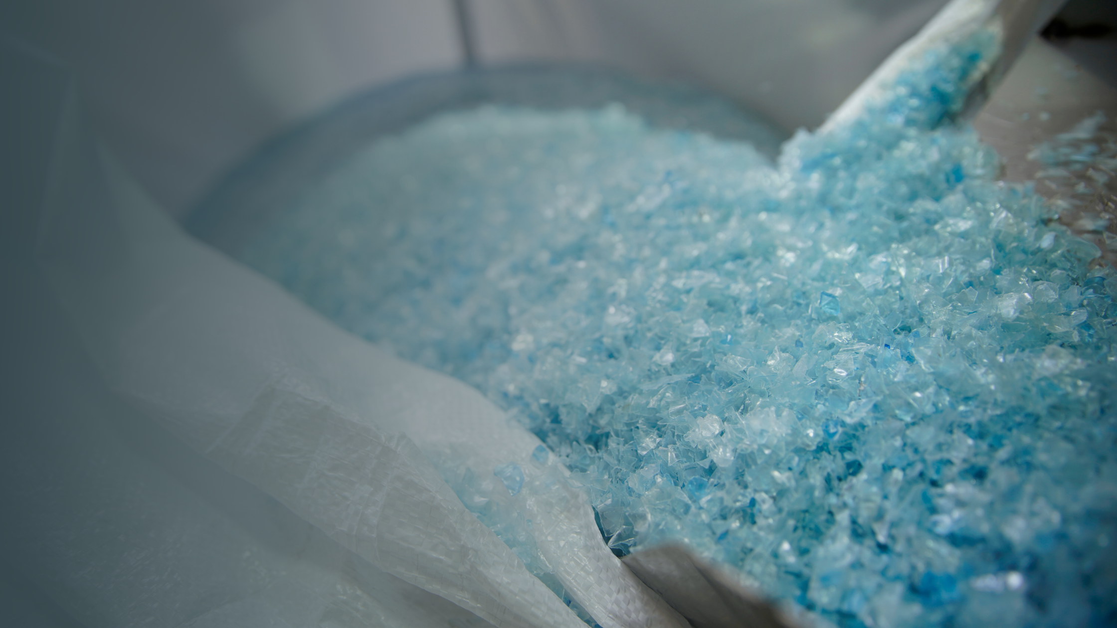  Sustainable Fashion: SEASICK and SEAQUAL INITIATIVE